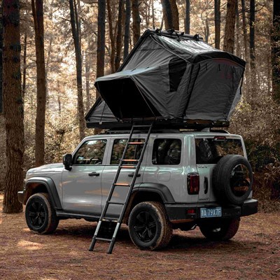 Alumiiniumist kolmnurkse katusetelgi täiendatud versioon